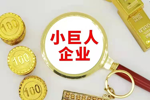 《關于大力培育“專精特新”中小企業促進高質量發展的若干意見（公開征求意見稿）》全文！
