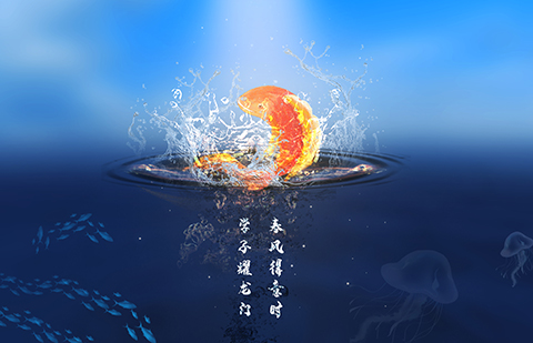 @所有專代人！智慧芽送你錦鯉大禮包啦！