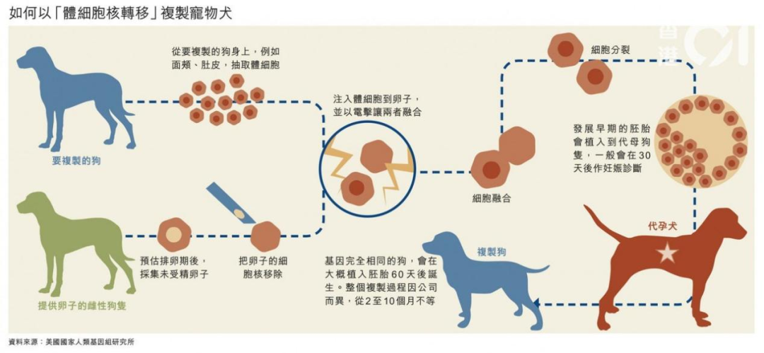 “寵物熱與知識產權”專題（下）：挑戰篇/變革篇/征稿篇