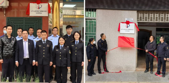 【率先創新】知識產權賦能鄉村振興共建中心在云浮市云安區揭牌運行！