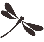 兩種 “蜻蜓”分不清？混不混淆要“公眾”說了算！