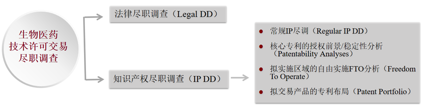 生物醫藥技術許可交易License-in/out中的考量要點之知識產權盡職調查