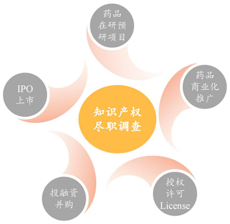 生物醫藥技術許可交易License-in/out中的考量要點之知識產權盡職調查