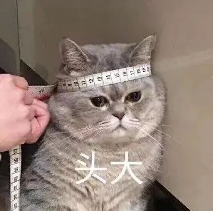 研發人一次性學會4種專利檢索方式，泰！褲！辣！