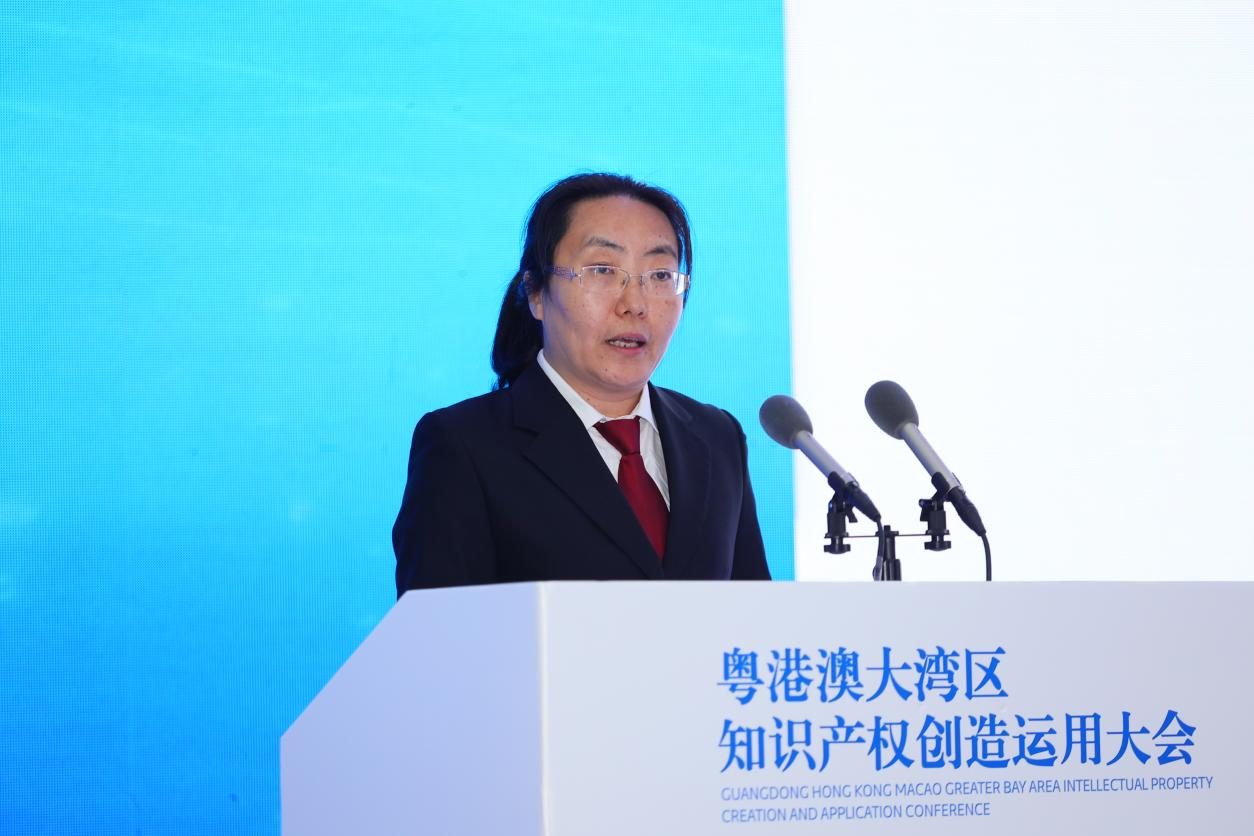 IPR Daily成功承辦粵港澳大灣區知識產權創造運用大會“知識產權經典案例及經驗分享宣傳專區”活動