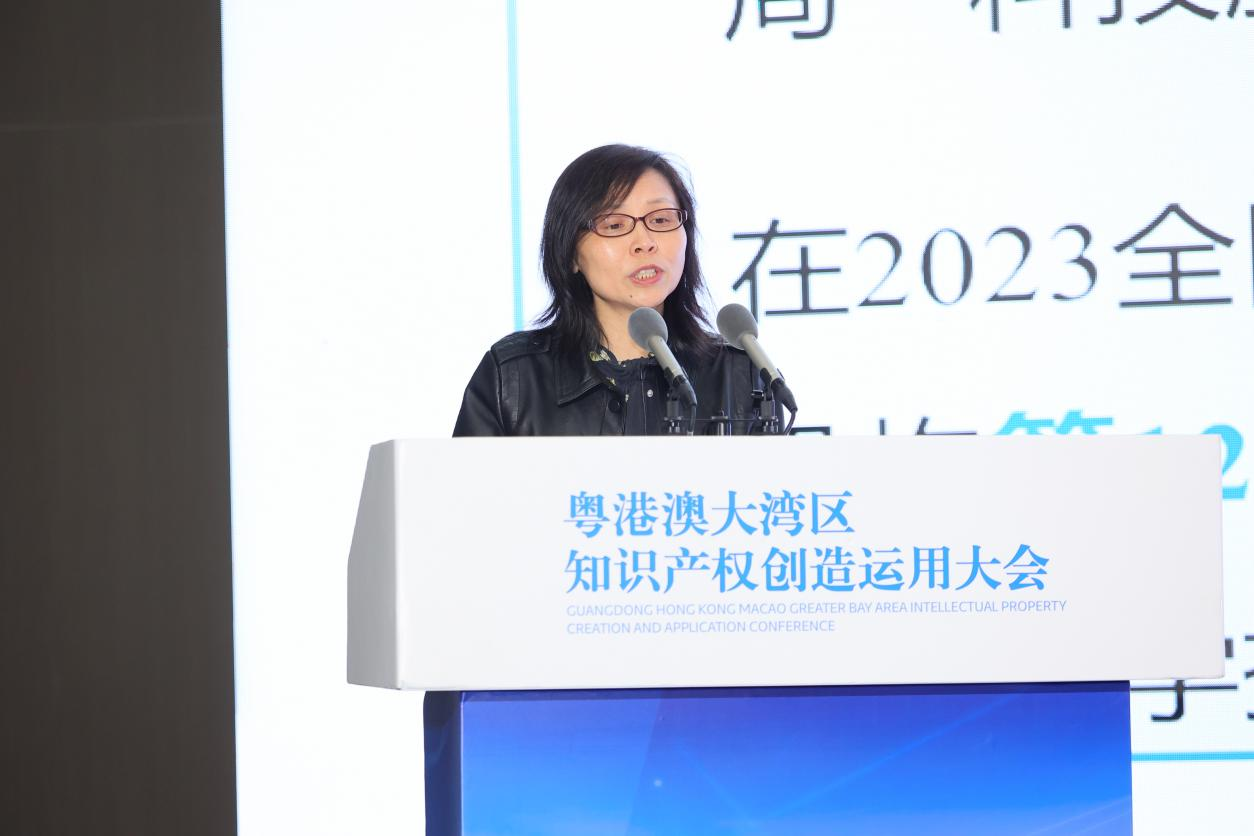 IPR Daily成功承辦粵港澳大灣區知識產權創造運用大會“知識產權經典案例及經驗分享宣傳專區”活動