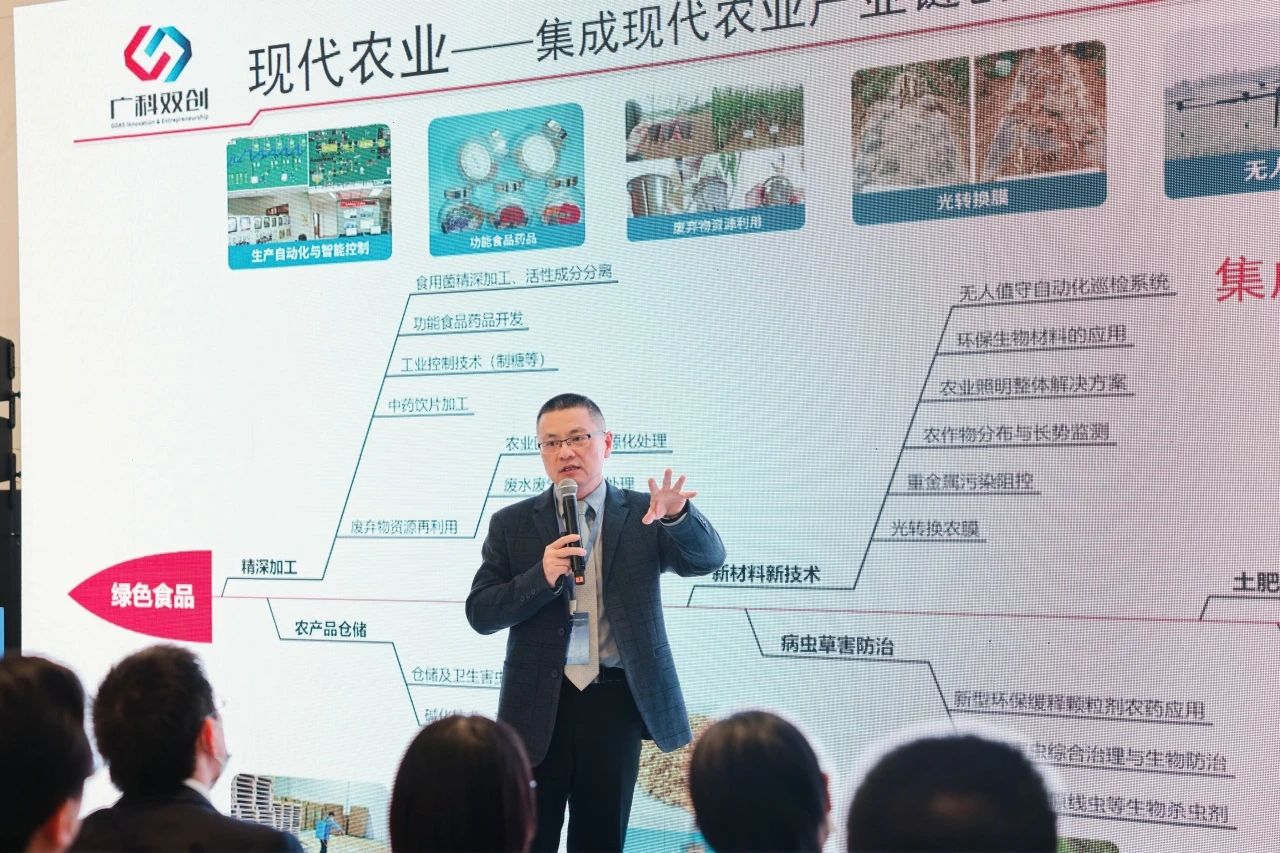 “粵港澳大灣區知識產權創造運用大會”系列活動——縣域產業知識產權需求暨招商引智對接活動成功舉辦
