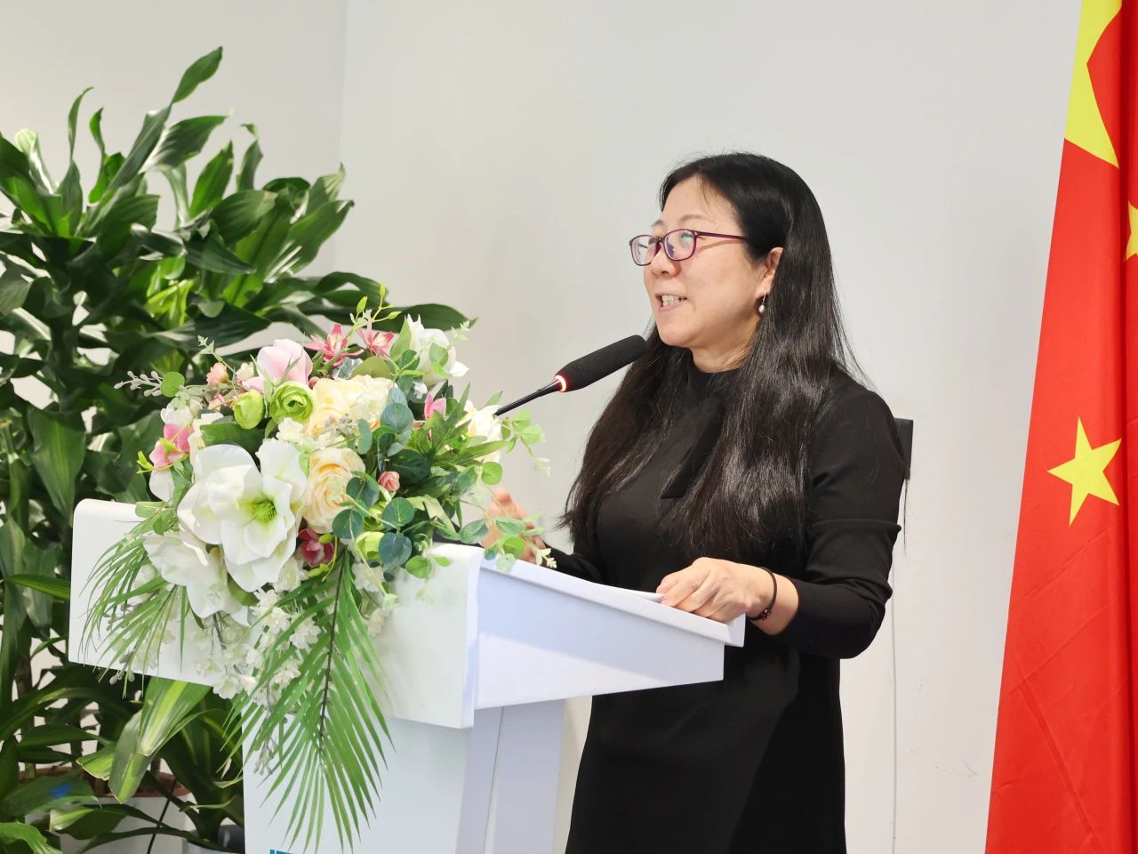 《東南亞和中東知識產權發展報告2024》發布會成功舉辦