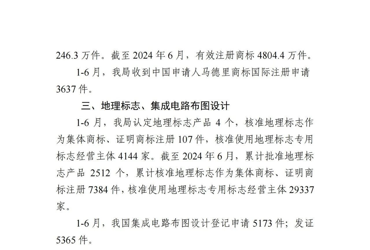 2024年1-6月專利、商標、地理標志等知識產權主要統計數據 | 附數據詳情