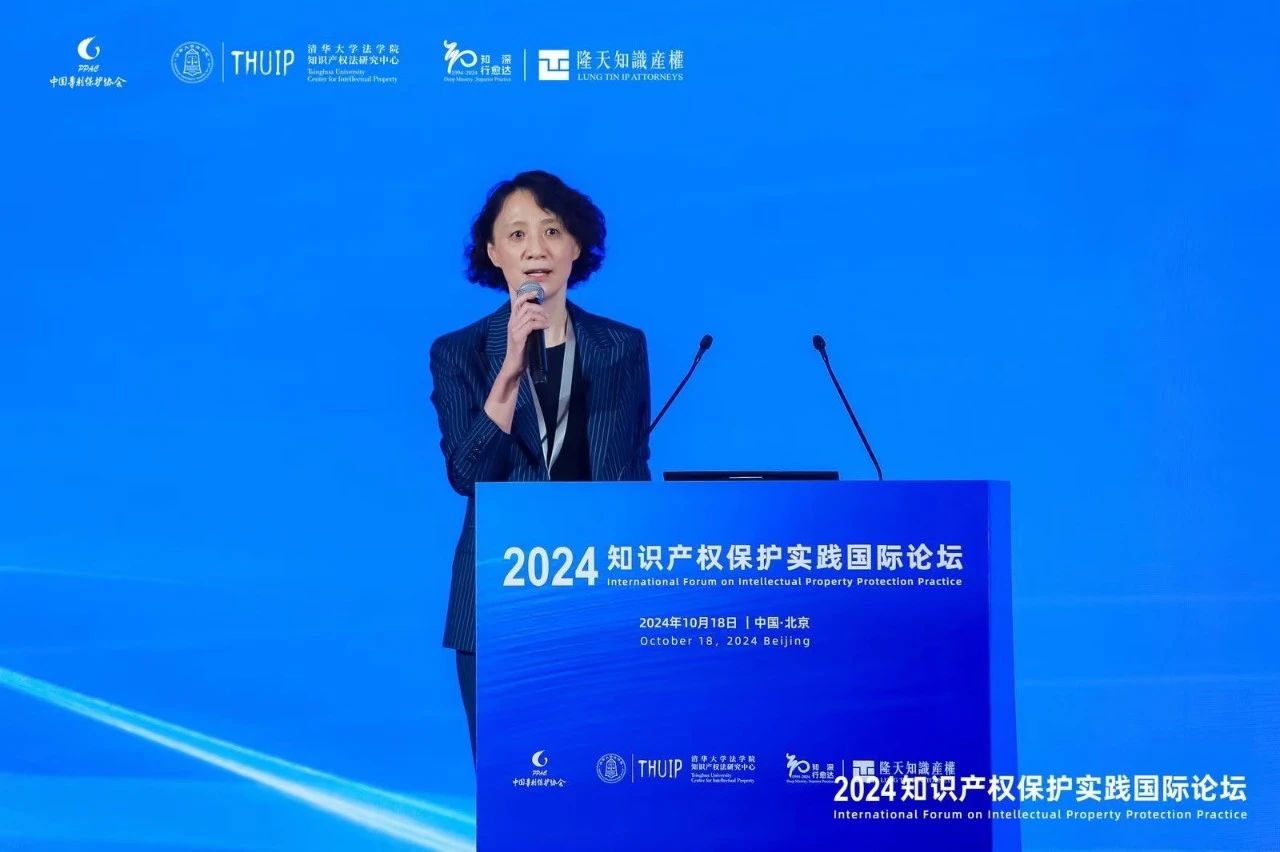“2024知識產權保護實踐國際論壇”在京成功召開