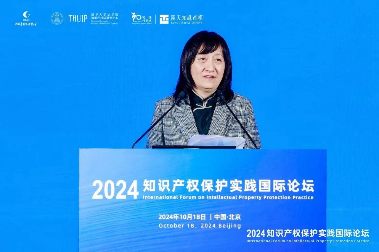 “2024知識產權保護實踐國際論壇”在京成功召開