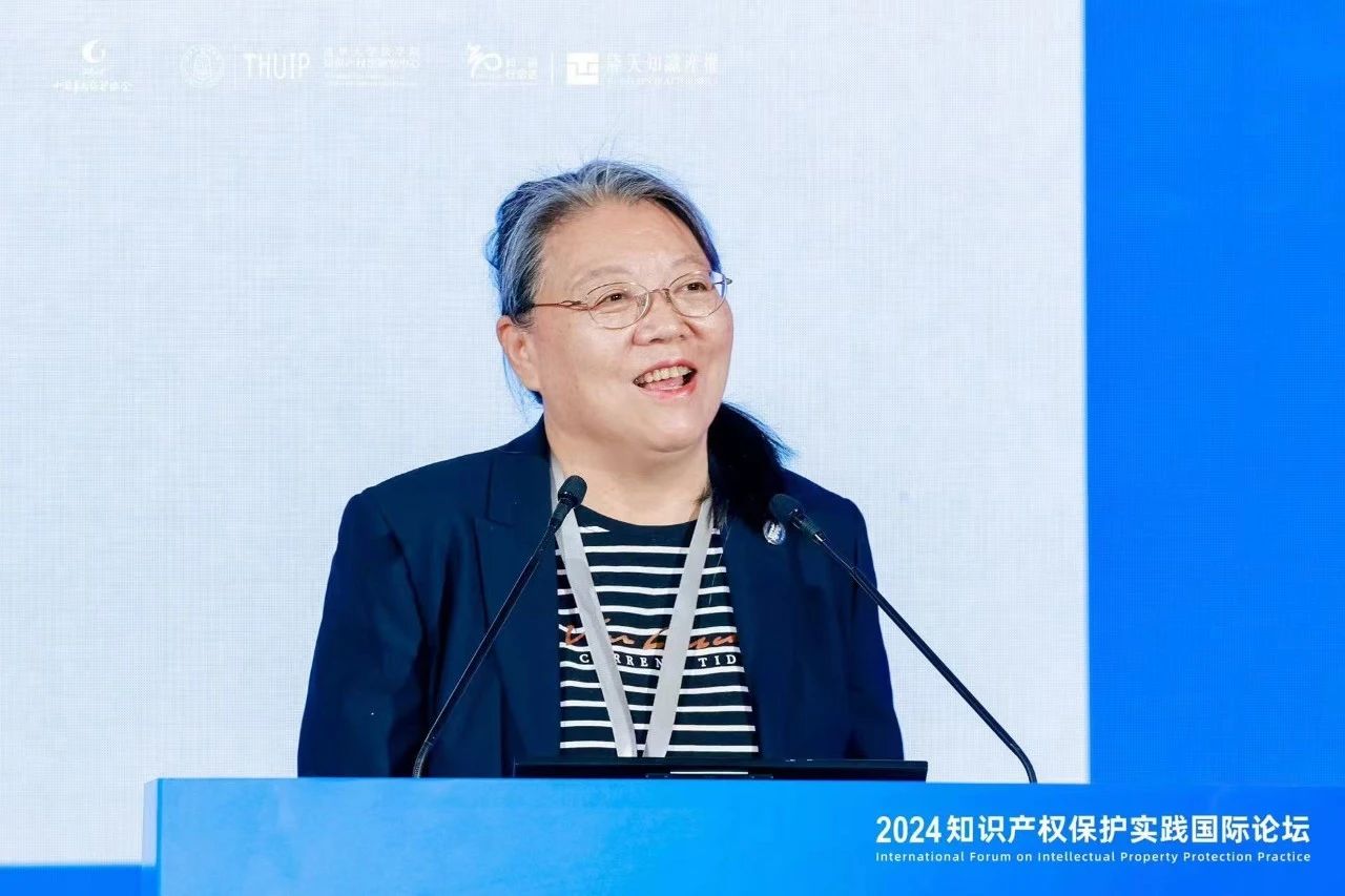 “2024知識產權保護實踐國際論壇”在京成功召開