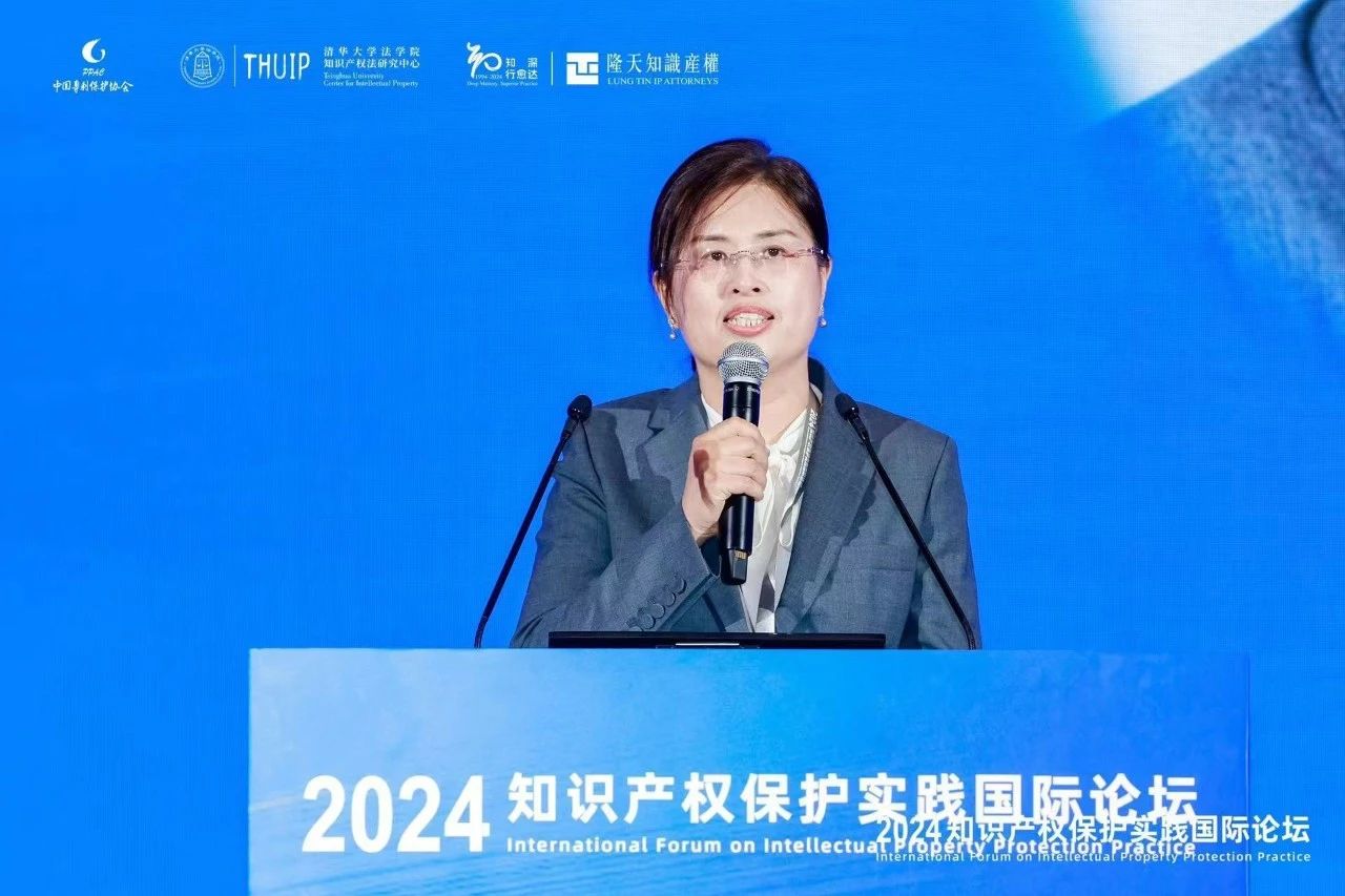 “2024知識產權保護實踐國際論壇”在京成功召開