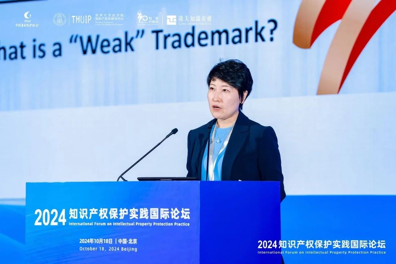 “2024知識產權保護實踐國際論壇”在京成功召開