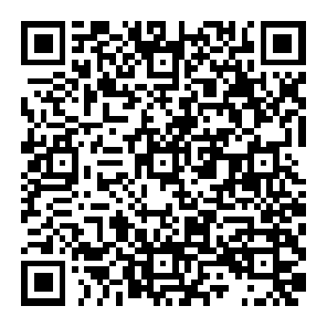 地點公布：深圳涉外商標代理研修班【深圳站】，解鎖專業技能MAX！