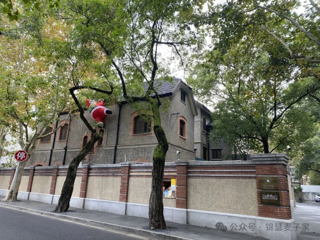 麥子家智享沙龍 2024.11.22上海站之面向價值實現的法務合規風控和知識產權運營 回顧文