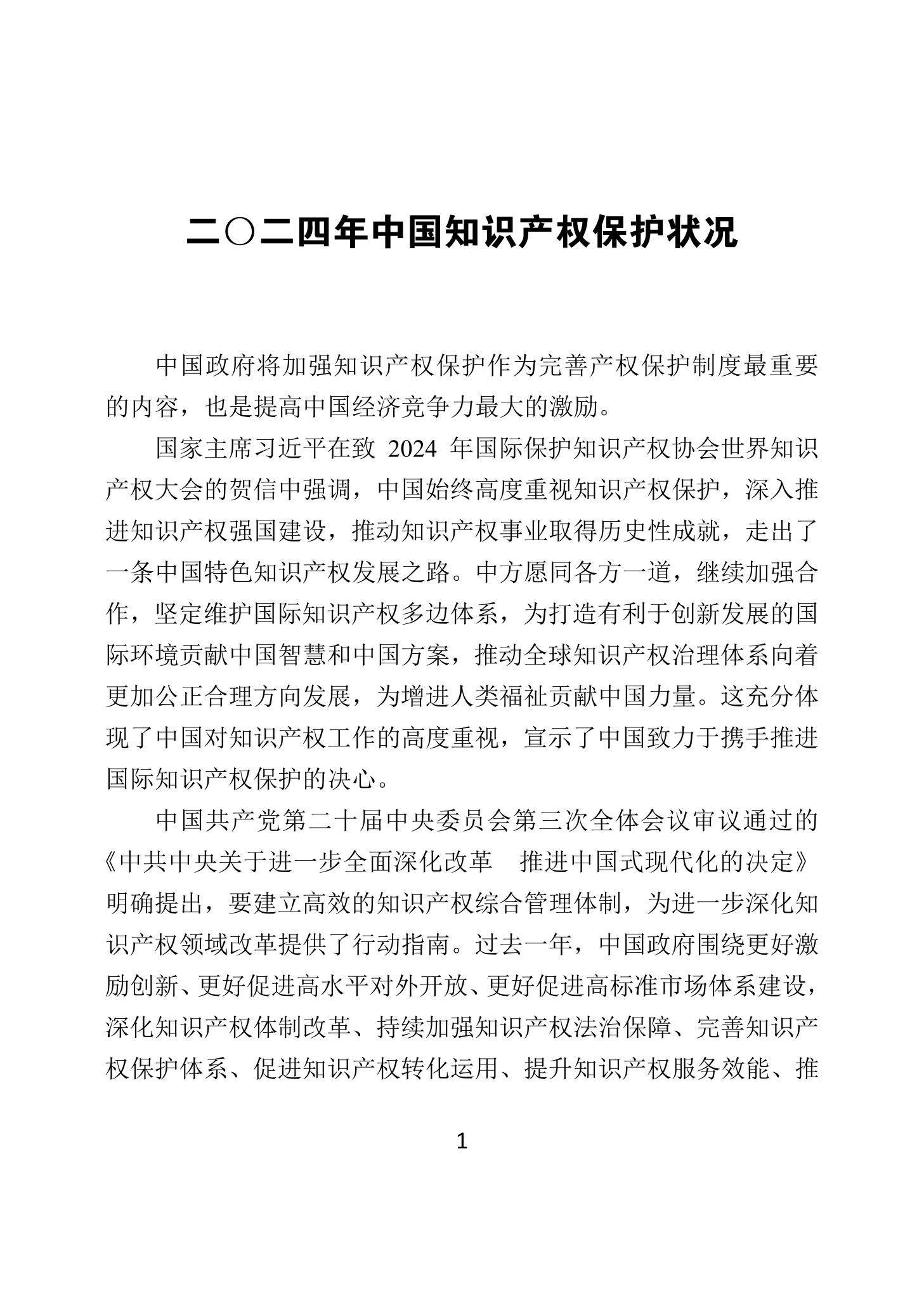 二〇二四年中國知識產權保護狀況_04