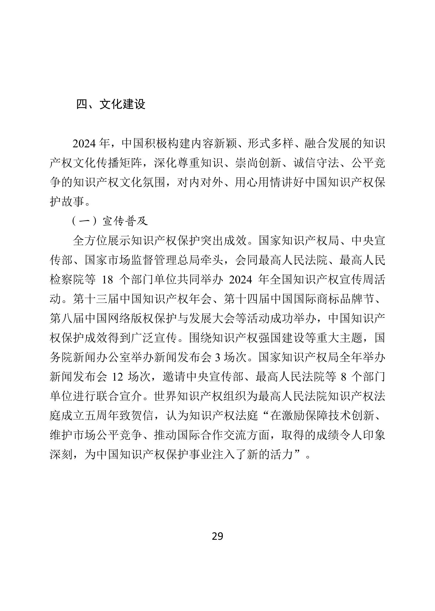 二〇二四年中國知識產權保護狀況_32