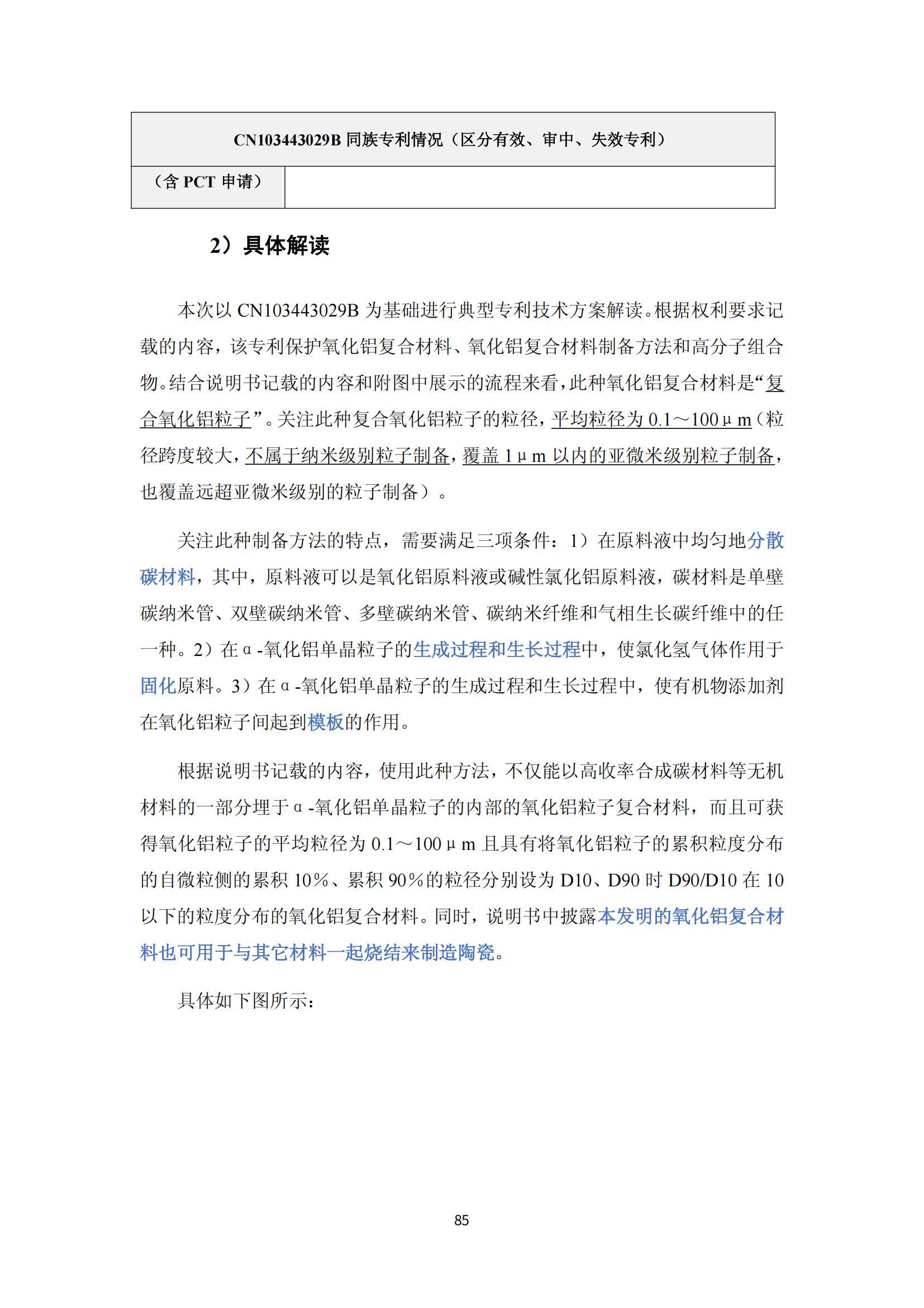 納米陶瓷產業海外專利預警分析報告_89