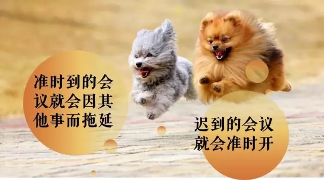 專利律師逃得出墨菲定律的魔咒嗎？