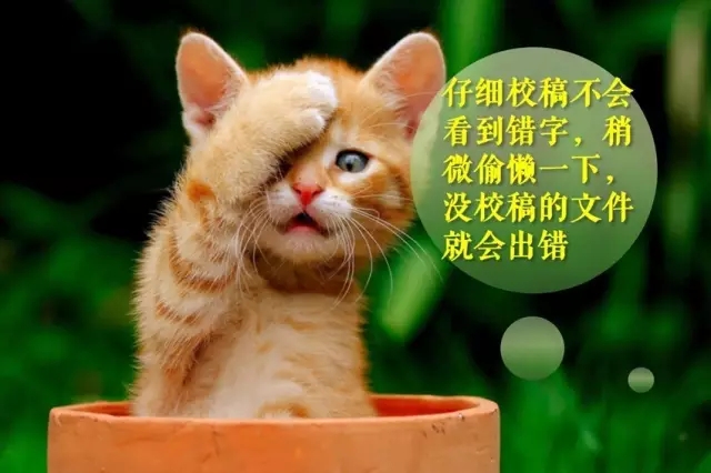 專利律師逃得出墨菲定律的魔咒嗎？