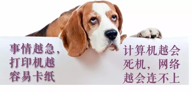 專利律師逃得出墨菲定律的魔咒嗎？