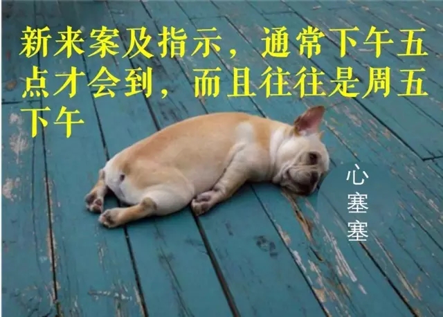 專利律師逃得出墨菲定律的魔咒嗎？