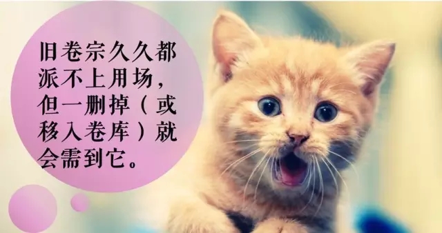 專利律師逃得出墨菲定律的魔咒嗎？