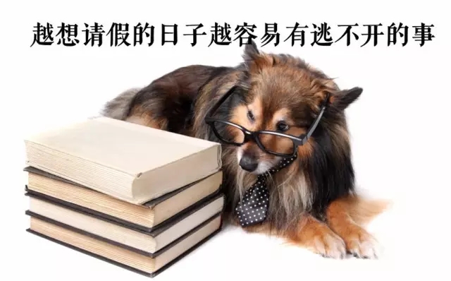 專利律師逃得出墨菲定律的魔咒嗎？