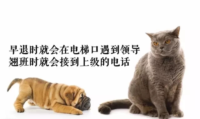 專利律師逃得出墨菲定律的魔咒嗎？