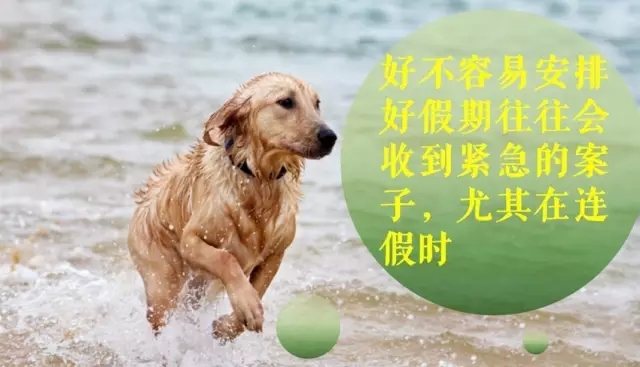 專利律師逃得出墨菲定律的魔咒嗎？