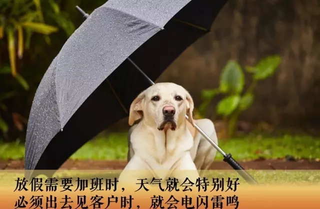 專利律師逃得出墨菲定律的魔咒嗎？